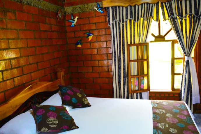 Imagen de la habitación del Hotel Hostal Valle De Las Camelias. Foto 16