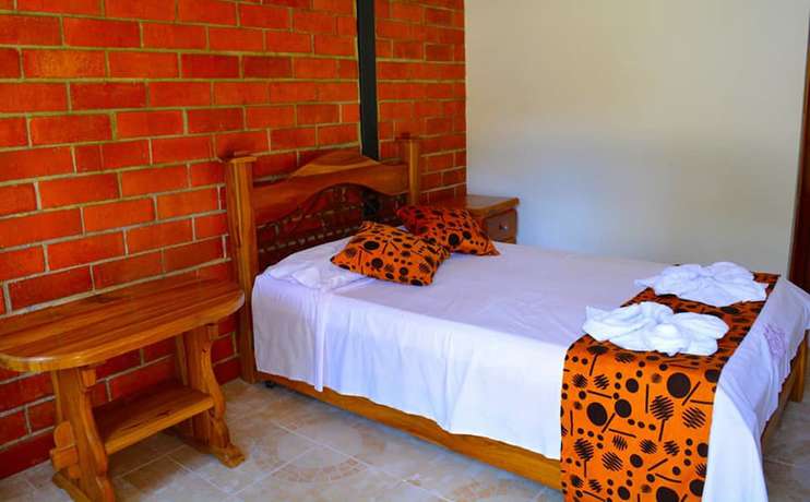 Imagen de la habitación del Hotel Hostal Valle De Las Camelias. Foto 20
