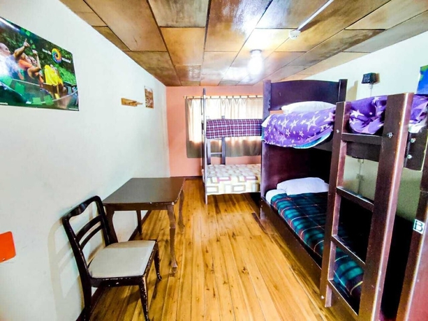 Imagen de la habitación del Hotel Hostal la Guayunga - Hostel. Foto 4