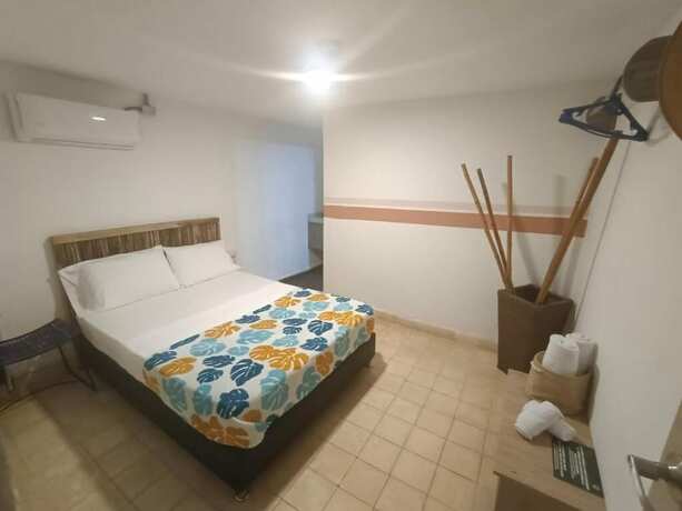 Imagen general del Hotel Hostel Boutique Musa Paradisiaca. Foto 2