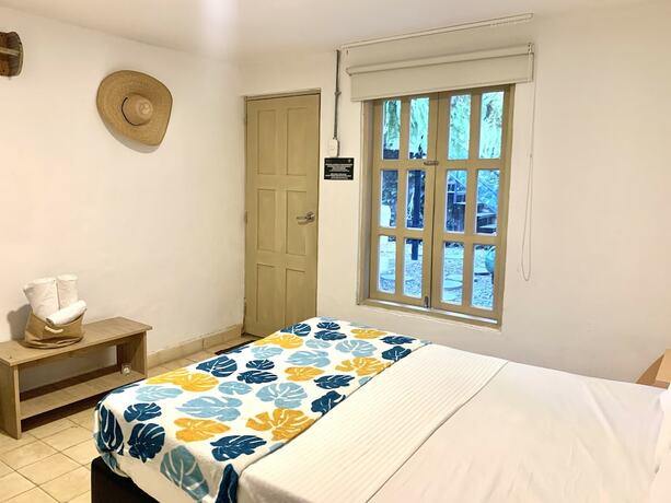 Imagen de la habitación del Hotel Hostel Boutique Musa Paradisiaca. Foto 16
