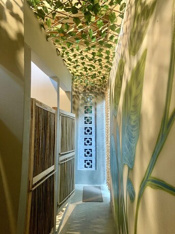 Imagen de la habitación del Hotel Hostel Boutique Musa Paradisiaca. Foto 20