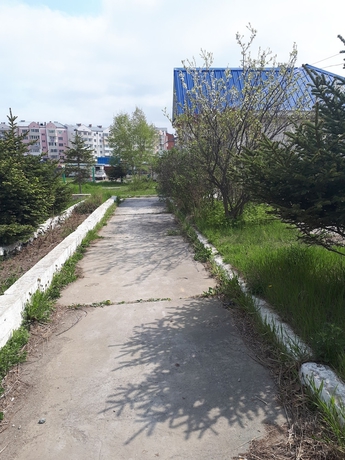 Imagen general del Hotel Hostel Cozy Corner. Foto 2