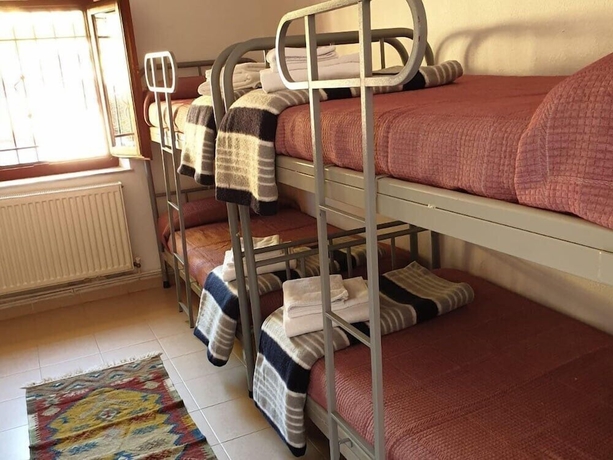 Imagen de la habitación del Hotel Hostel El Oso Pardo. Foto 7