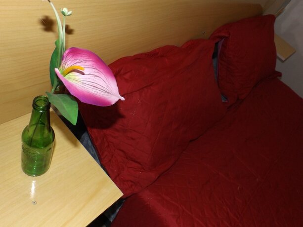 Imagen general del Hotel Hostel Lize. Foto 5