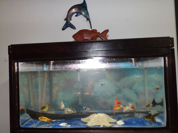 Imagen general del Hotel Hostel Lize. Foto 7