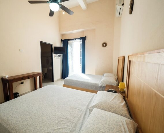 Imagen de la habitación del Hotel Hostel Nido del Colibr&iacute;. Foto 17