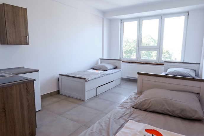 Imagen de la habitación del Hotel Hostel Orange Tree. Foto 9