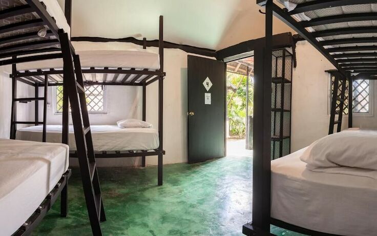 Imagen de la habitación del Hotel Hostel Oryx Tulum. Foto 16