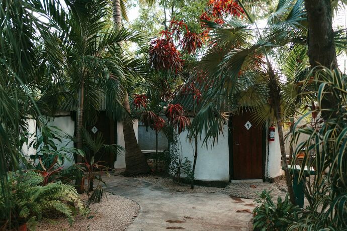 Imagen general del Hotel Hostel Oryx Tulum. Foto 6