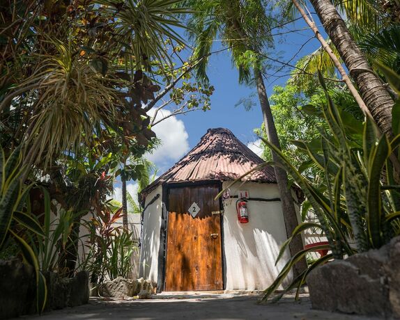 Imagen de la habitación del Hotel Hostel Oryx Tulum. Foto 20