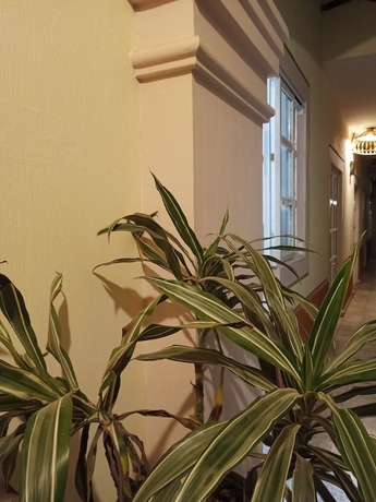 Imagen de la habitación del Hotel Hostel Paricut&iacute;n. Foto 15