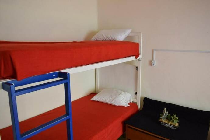 Imagen de la habitación del Hotel Hostel Plaza Mayor. Foto 16