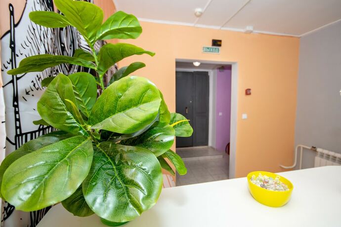 Imagen general del Hotel Hostel Plazkart. Foto 3