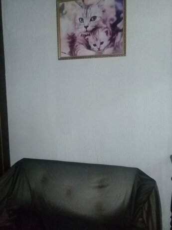 Imagen de la habitación del Hotel Hostel Residential Inn. Foto 19