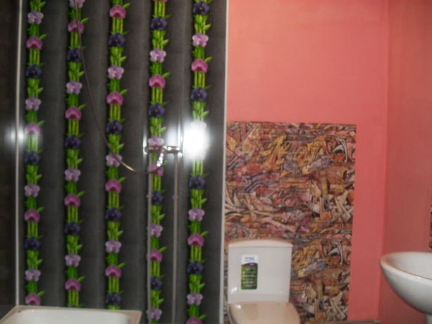 Imagen de la habitación del Hotel Hostel Teplichniy. Foto 15