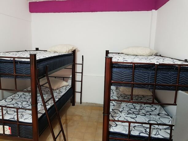 Imagen general del Hotel Hostel Vallarta - Adults only. Foto 9