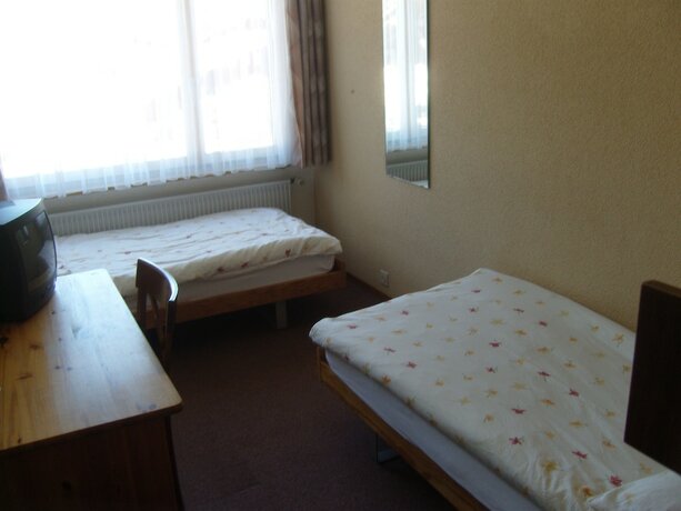 Imagen general del Hotel Hostel Vista Zweisimmen. Foto 6