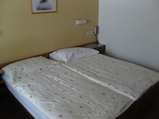 Imagen general del Hotel Hostel Vista Zweisimmen. Foto 9