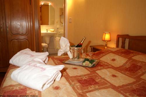 Imagen de la habitación del Hotel Hostellerie Le Roannay. Foto 6