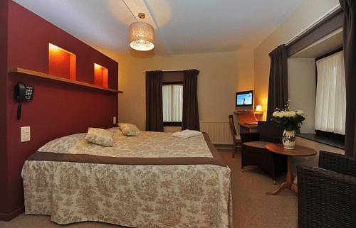 Imagen de la habitación del Hotel Hostellerie Le Roannay. Foto 9