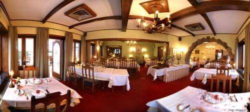 Imagen de la habitación del Hotel Hostellerie Le Roannay. Foto 10