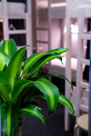 Imagen de la habitación del Hotel Hostels Rus - Paveletskaya. Foto 7