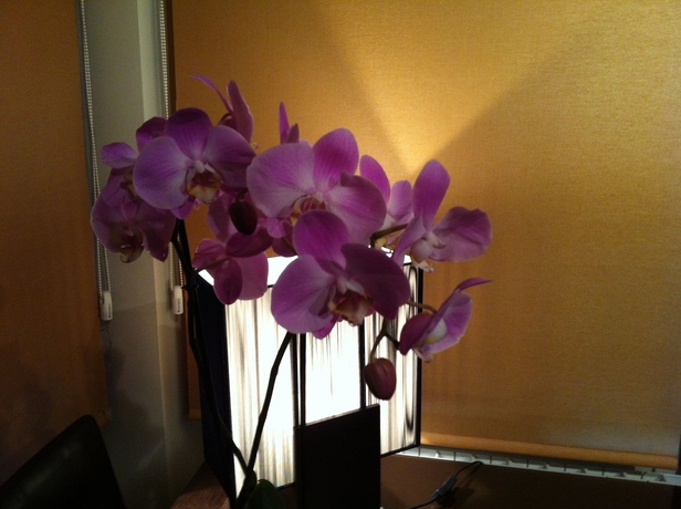 Imagen de los interiores del Hotel Hosteria Casa Vallejo. Foto 17