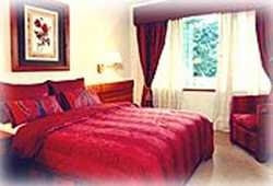 Imagen general del Hotel Hosteria Del Lago. Foto 3