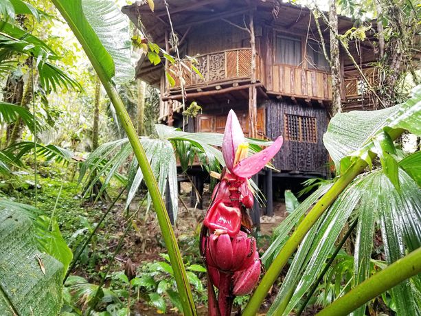 Imagen de la habitación del Hotel Hosteria Flor de Canela. Foto 8