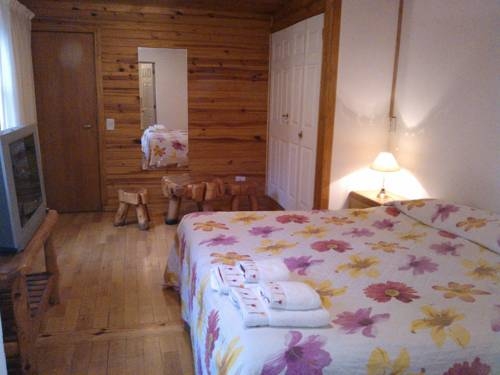 Imagen de la habitación del Hotel Hosteria Lekun Lekun. Foto 43