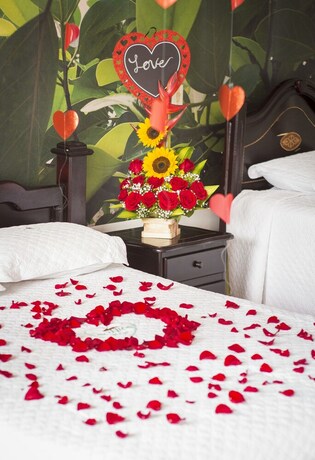 Imagen de la habitación del Hotel Hoster&iacute;a Bohios. Foto 30