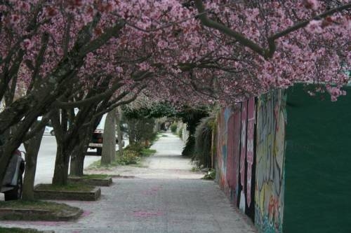 Imagen general del Hotel Hostería La Raclette. Foto 14