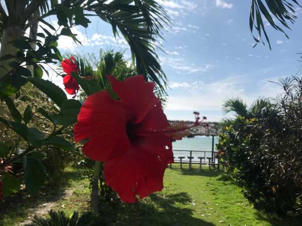 Imagen de los interiores del Hotel Hoster&iacute;a Puerto Gaviota. Foto 20