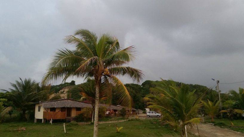 Imagen de los exteriores del Hotel Hoster&iacute;a Pura Vida. Foto 7