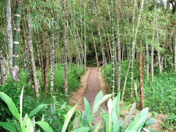 Imagen de los exteriores del Hotel Hoster&iacute;a Sumak Pakari. Foto 4