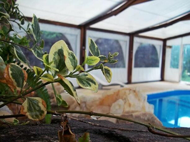 Imagen general del Hotel Hoster&iacute;a Valle Azul. Foto 7