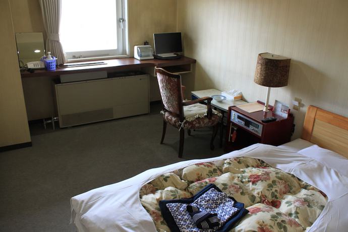 Imagen de la habitación del Hotel Hot Spring Boston. Foto 11