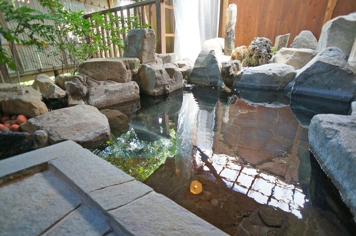 Imagen general del Hotel Hot Spring Inn Banya. Foto 9
