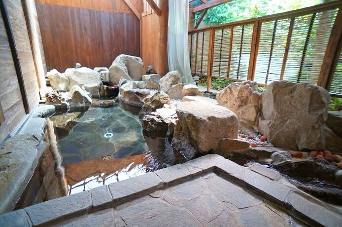 Imagen general del Hotel Hot Spring Inn Banya. Foto 14