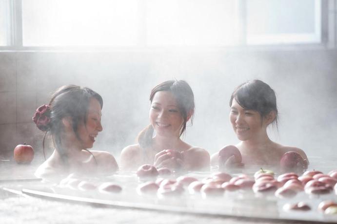 Imagen general del Hotel Hot Spring Minamida Spa Hotel Apple Land. Foto 6