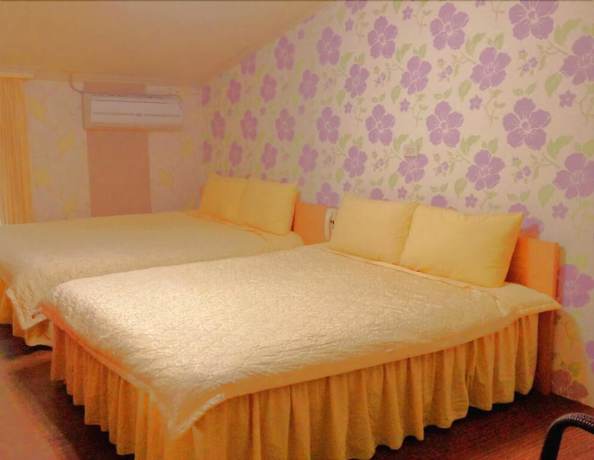 Imagen de la habitación del Hotel Hot Spring, Ruisui. Foto 5