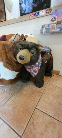 Imagen general del Hotel Hot Springs Inn. Foto 6