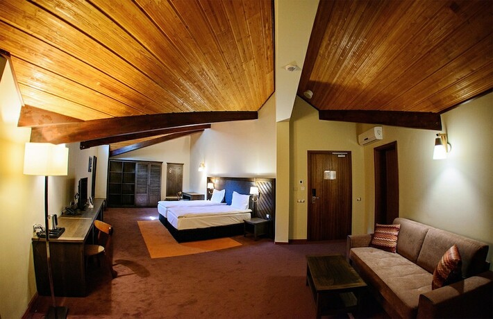 Imagen de la habitación del Hotel Hot Springs Medical and Spa. Foto 18