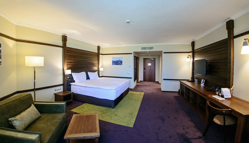 Imagen de la habitación del Hotel Hot Springs Medical and Spa. Foto 19