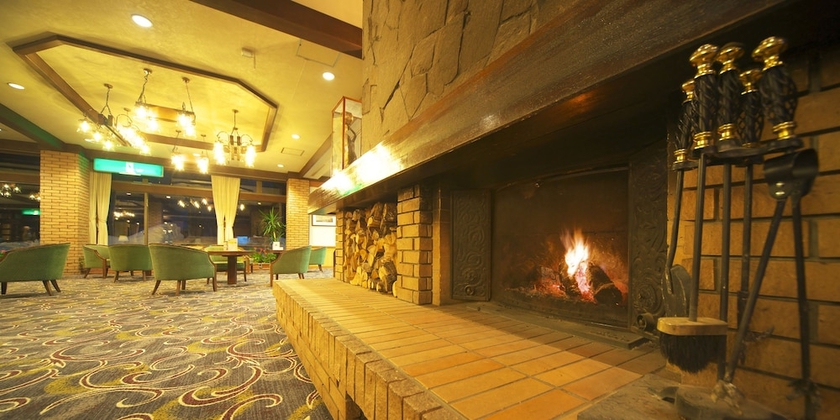 Imagen del bar/restaurante del Hotel Hotaka. Foto 2