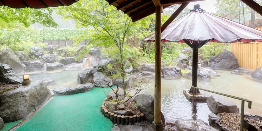 Imagen de la habitación del Hotel Hotaka. Foto 15