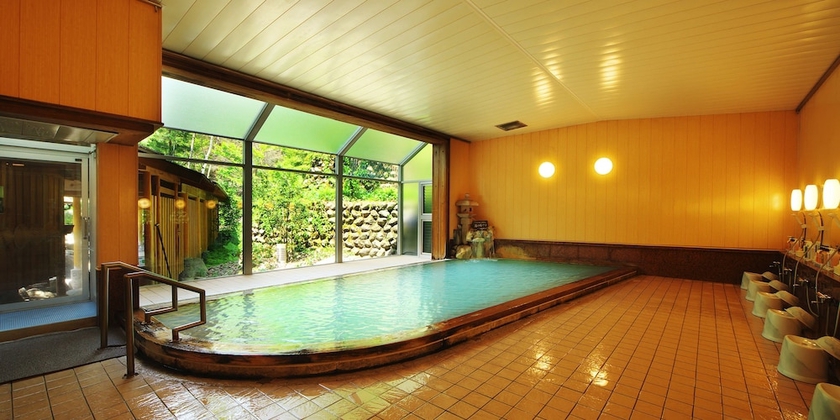 Imagen de la piscina del Hotel Hotaka. Foto 17