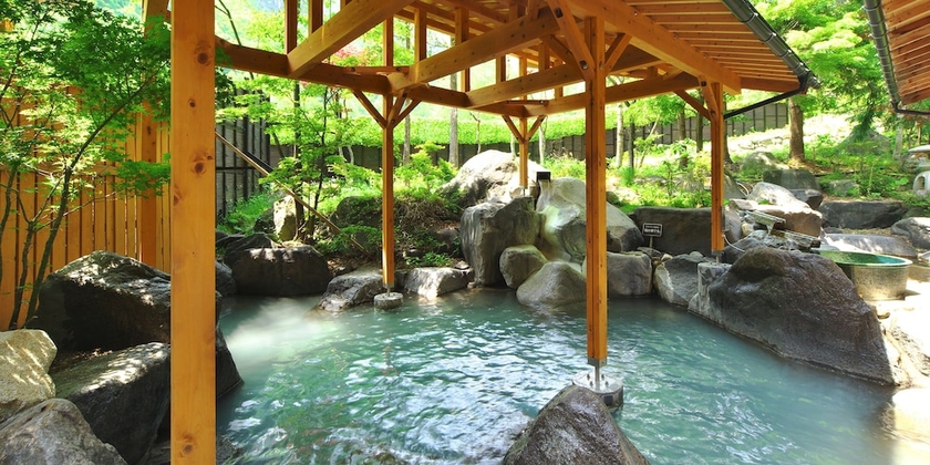 Imagen de la piscina del Hotel Hotaka. Foto 18