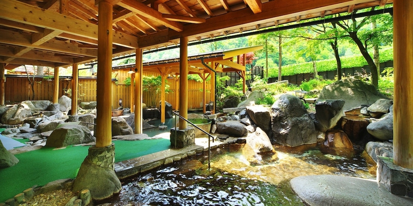 Imagen de la piscina del Hotel Hotaka. Foto 19